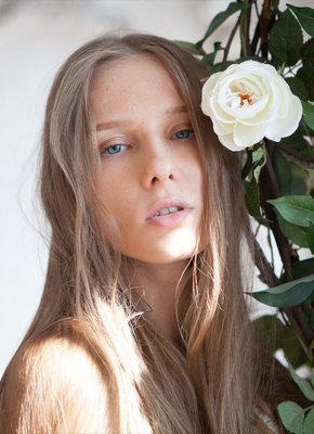 Желанная красотка в нежной обстановке